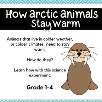 What is Blubber? Arctic Animal Science